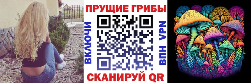 hydra зеркало  купить наркотики цена  Дрезна  Псилоцибиновые грибы мухоморы 